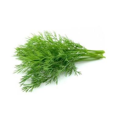 Fresh Dill