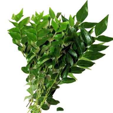 Curry Leaf